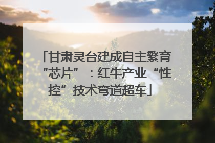 甘肃灵台建成自主繁育“芯片”：红牛产业“性控”技术弯道超车