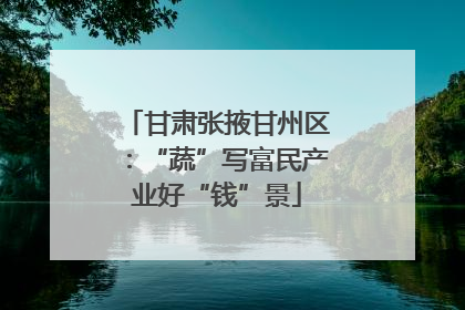 甘肃张掖甘州区：“蔬”写富民产业好“钱”景