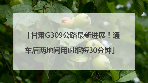 甘肃G309公路最新进展！通车后两地间用时缩短30分钟