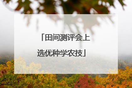 田间测评会上选优种学农技