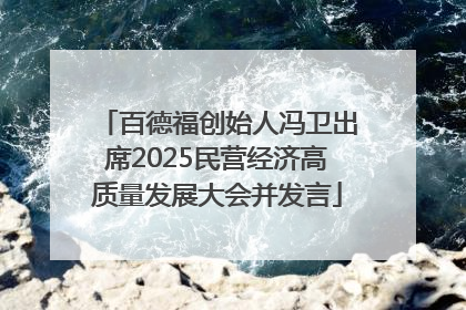百德福创始人冯卫出席2025民营经济高质量发展大会并发言