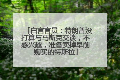 白宫官员：特朗普没打算与马斯克交谈，不感兴趣，准备卖掉早前购买的特斯拉