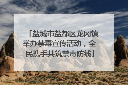 盐城市盐都区龙冈镇举办禁毒宣传活动，全民携手共筑禁毒防线