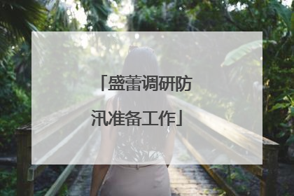 盛蕾调研防汛准备工作