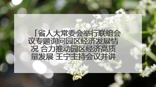 省人大常委会举行联组会议专题询问园区经济发展情况 合力推动园区经济高质量发展 王宁主持会议并讲话 王予波带队到会应询