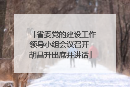 省委党的建设工作领导小组会议召开 胡昌升出席并讲话