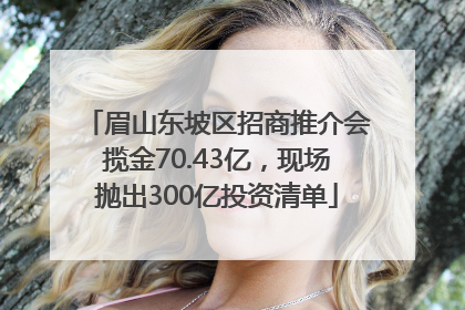 眉山东坡区招商推介会揽金70.43亿，现场抛出300亿投资清单