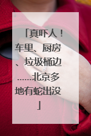 真吓人！车里、厨房、垃圾桶边……北京多地有蛇出没