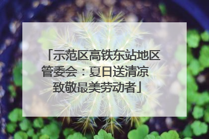 示范区高铁东站地区管委会：夏日送清凉 致敬最美劳动者