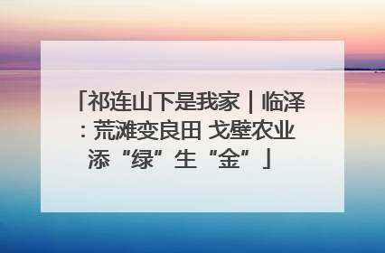 祁连山下是我家｜临泽：荒滩变良田 戈壁农业添“绿”生“金”