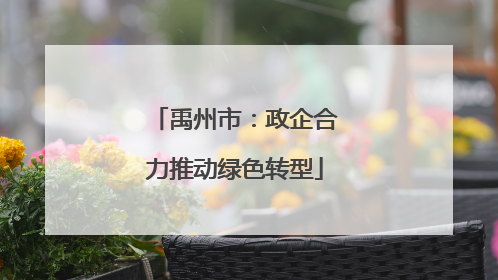 禹州市：政企合力推动绿色转型