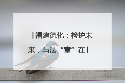 福建德化：检护未来，与法“童”在