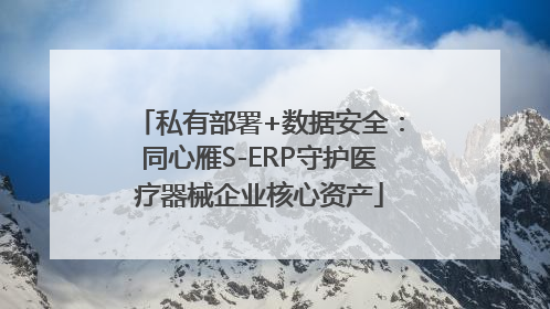 私有部署+数据安全：同心雁S-ERP守护医疗器械企业核心资产
