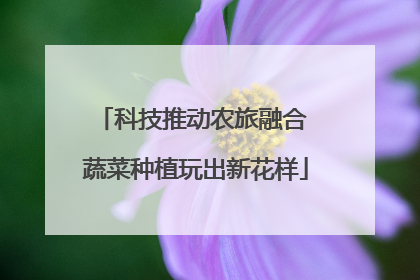 科技推动农旅融合 蔬菜种植玩出新花样