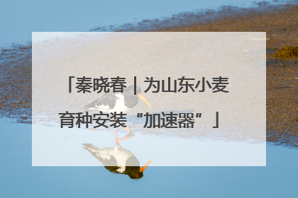 秦晓春｜为山东小麦育种安装“加速器”