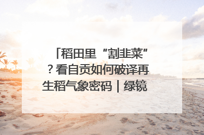 稻田里“割韭菜”？看自贡如何破译再生稻气象密码｜绿镜头·发现中国