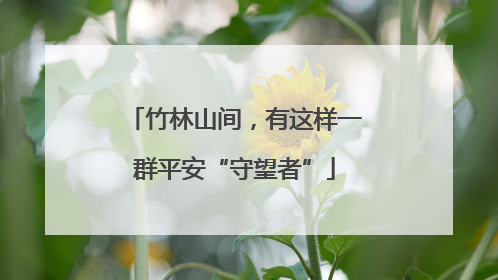 竹林山间，有这样一群平安“守望者”