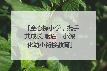 童心探小学，携手共成长 峨眉一小深化幼小衔接教育