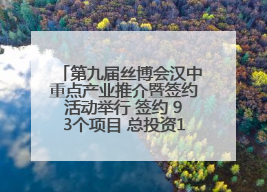第九届丝博会汉中重点产业推介暨签约活动举行 签约 93个项目 总投资132.23 亿元