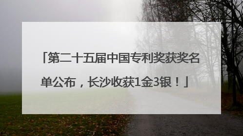 第二十五届中国专利奖获奖名单公布，长沙收获1金3银！