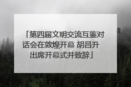 第四届文明交流互鉴对话会在敦煌开幕 胡昌升出席开幕式并致辞