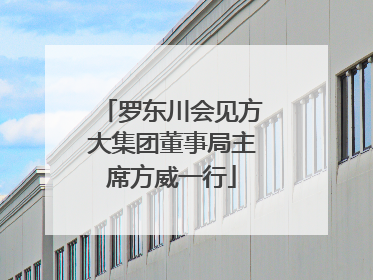 罗东川会见方大集团董事局主席方威一行