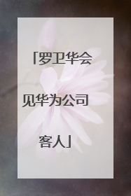 罗卫华会见华为公司客人