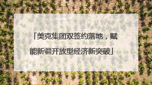 美克集团双签约落地，赋能新疆开放型经济新突破