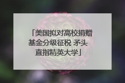 美国拟对高校捐赠基金分级征税 矛头直指精英大学