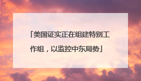 美国证实正在组建特别工作组，以监控中东局势