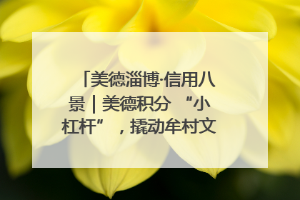 美德淄博·信用八景｜美德积分 “小杠杆”，撬动牟村文明 “大能量”