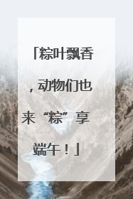 粽叶飘香，动物们也来“粽”享端午！