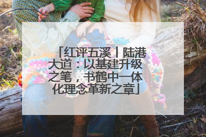 红评五溪丨陆港大道：以基建升级之笔，书鹤中一体化理念革新之章