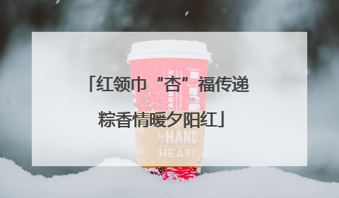 红领巾“杏”福传递 粽香情暖夕阳红