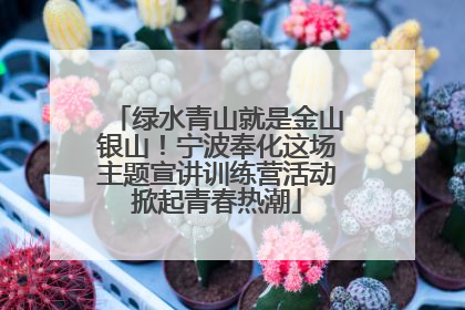 绿水青山就是金山银山！宁波奉化这场主题宣讲训练营活动掀起青春热潮