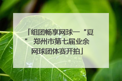 组团畅享网球一“夏” 郑州市第七届业余网球团体赛开拍