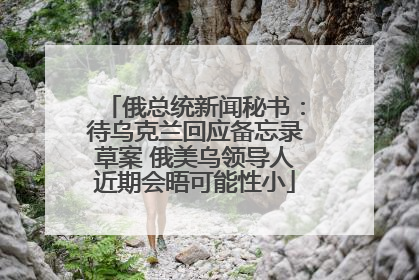 俄总统新闻秘书：待乌克兰回应备忘录草案 俄美乌领导人近期会晤可能性小