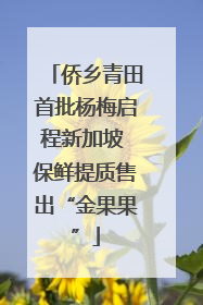 侨乡青田首批杨梅启程新加坡 保鲜提质售出“金果果”
