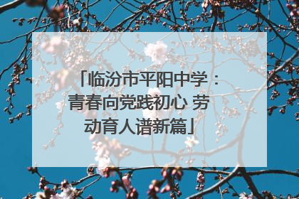 临汾市平阳中学：青春向党践初心 劳动育人谱新篇