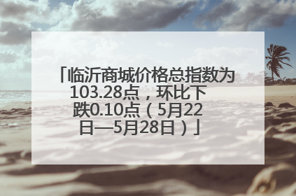 临沂商城价格总指数为103.28点，环比下跌0.10点（5月22日—5月28日）