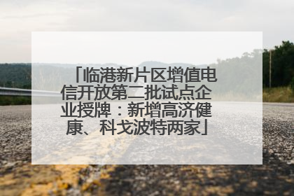 临港新片区增值电信开放第二批试点企业授牌：新增高济健康、科戈波特两家