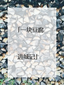 一块豆腐进城记