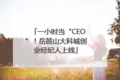 一小时当“CEO”！岳麓山大科城创业经纪人上线