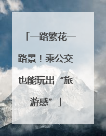 一路繁花一路景！乘公交也能玩出“旅游感”