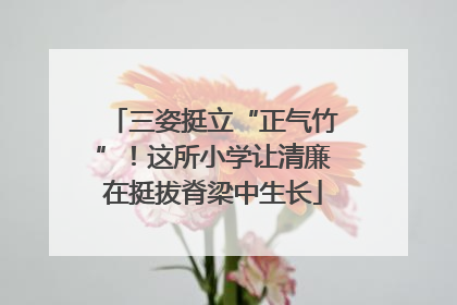 三姿挺立“正气竹”！这所小学让清廉在挺拔脊梁中生长