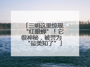 三明这里惊现“红眼蝉”！它很神秘，被誉为“最美知了”