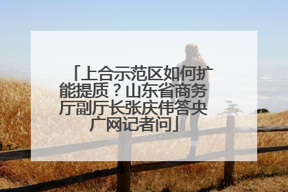 上合示范区如何扩能提质？山东省商务厅副厅长张庆伟答央广网记者问