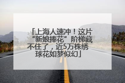 上海人速冲！这片“新娘捧花”阶梯藏不住了，近5万株绣球花如梦似幻