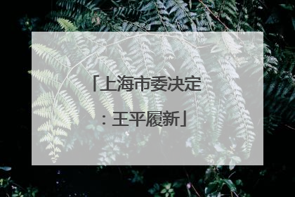 上海市委决定：王平履新