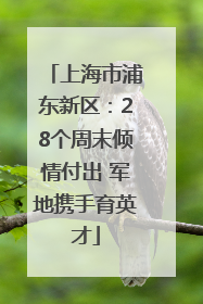 上海市浦东新区：28个周末倾情付出 军地携手育英才